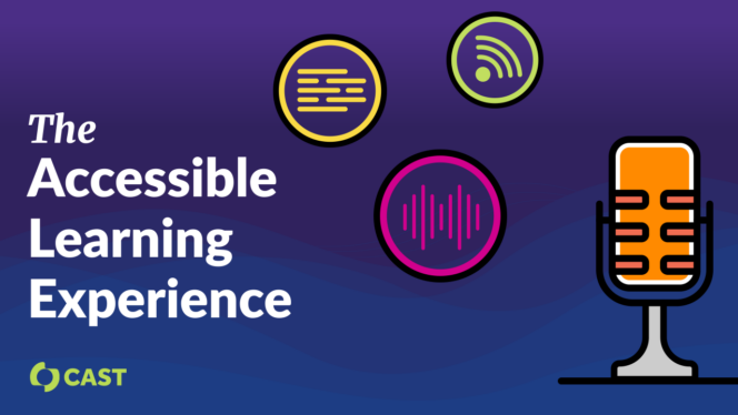 The Accessible Learning Experience